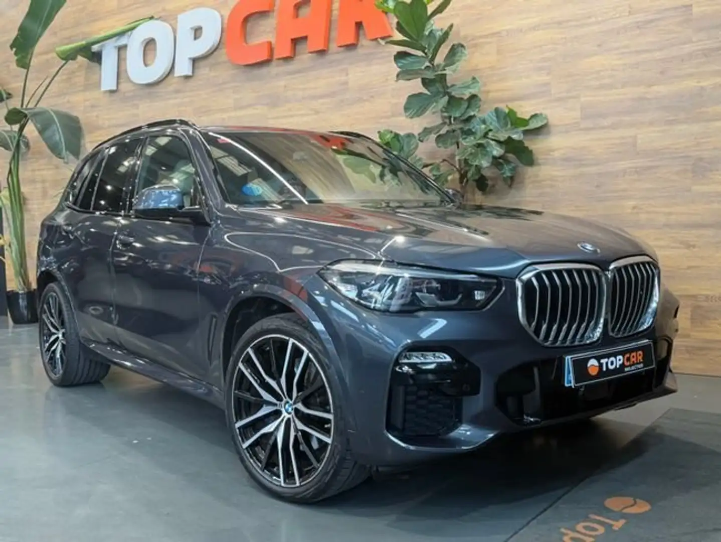 BMW X5 xDrive 3.0d M Sport Gris - 1