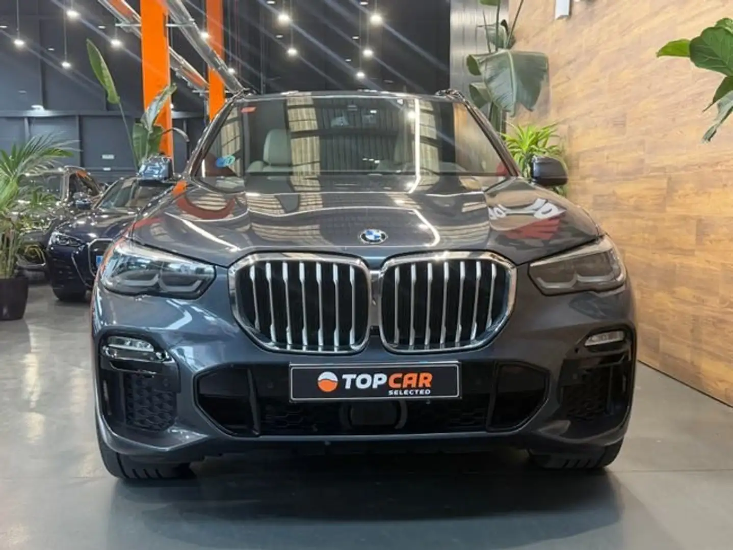 BMW X5 xDrive 3.0d M Sport Gris - 2
