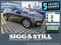 Ford Kuga ST-Line X 2.5 Hybrid LED-MATRIX*ACC*TWA*4xSHZ Gris - thumbnail 1