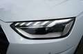 Audi A4 Avant 35 TDI/163 CV S tronic Business Advanced Bianco - thumbnail 13