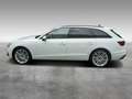 Audi A4 Avant 35 TDI/163 CV S tronic Business Advanced Bianco - thumbnail 3