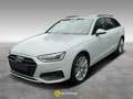 Audi A4 Avant 35 TDI/163 CV S tronic Business Advanced Bianco - thumbnail 1