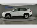 Toyota RAV 4 2.5l 220H Business 4WD Blanco - thumbnail 4