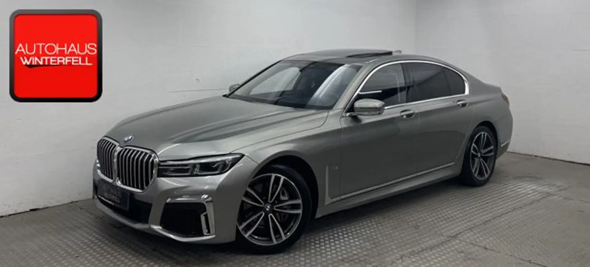 BMW 730 d xDrive M SPORT PURE GSD+EXECUTIVE+360+SOFT Grau - 1