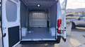 Toyota Proace Max ProAce Max 35+ L3H2 2,2 ID 140 HD Prowork  Aktion Weiß - thumbnail 11