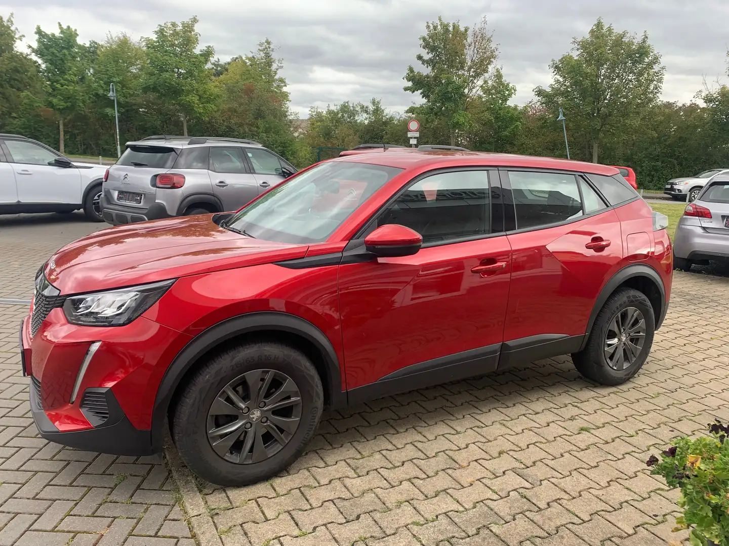 Peugeot 2008 Active Pack Rot - 2