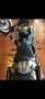Harley-Davidson V-Rod Total Umbau V Rod - thumbnail 6
