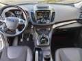 Ford Kuga 2.0 TDCI S&S 4WD TITANIUM UNICO PROPRIETARIO Blanc - thumbnail 13