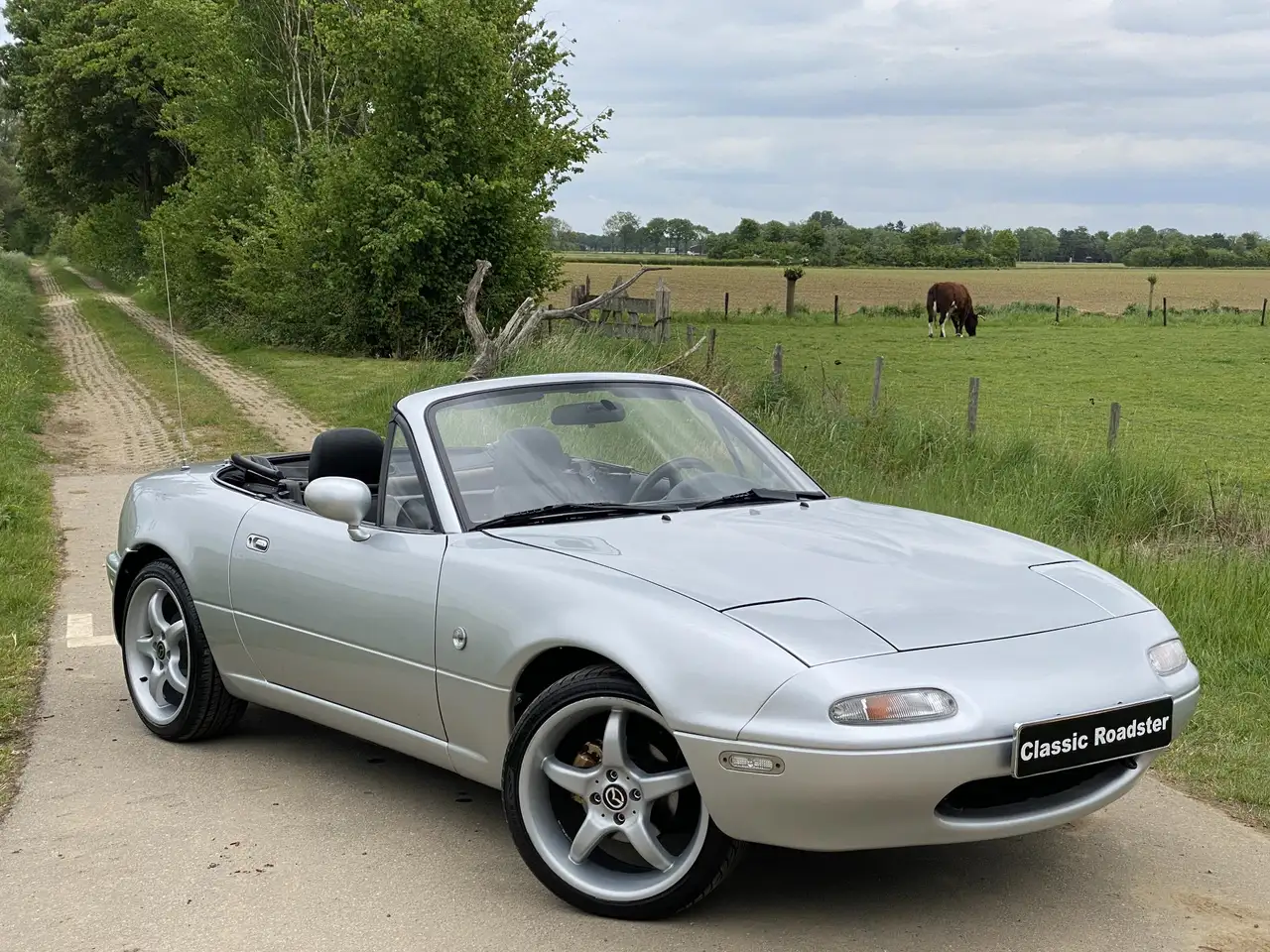 Mazda MX-5 NA 1.6i CLASSIC EDITION 1997, foto 8