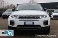 Land Rover Range Rover Evoque Range Rover Evoque 2.0 eD4 5p. Pure Weiß - thumbnail 2