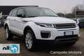 Land Rover Range Rover Evoque Range Rover Evoque 2.0 eD4 5p. Pure Weiß - thumbnail 1