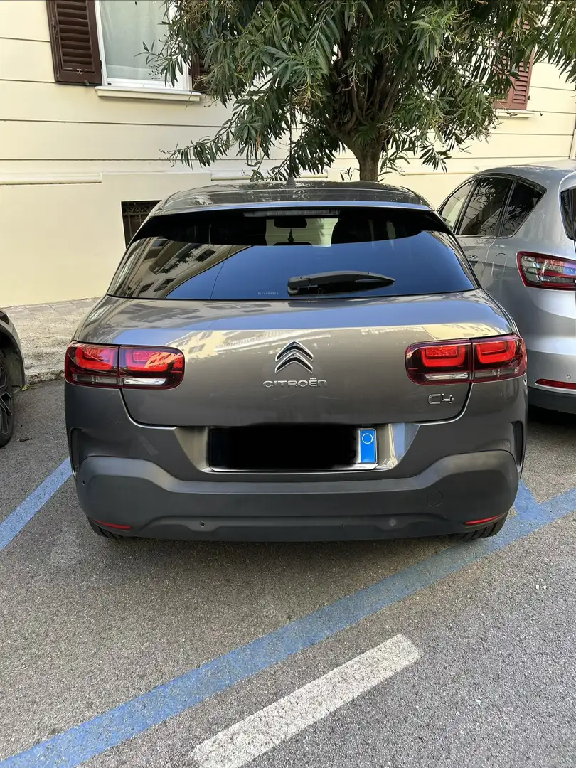 Citroen C4 Cactus Shine Pack bluehdi 100cv - 2