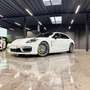 Porsche Panamera Platinium Edition Sport Turismo // Sport Design / Weiß - thumbnail 3