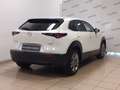 Mazda CX-30 2.0L Skyactiv-G M Hybrid 2WD Executive Blanc - thumbnail 6