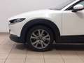 Mazda CX-30 2.0L Skyactiv-G M Hybrid 2WD Executive Beyaz - thumbnail 14