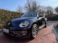 Volkswagen Beetle The Beetle Cabriolet 1.2 TSI (BlueMotionTech)Sound Schwarz - thumbnail 1