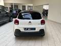 Citroen C3 C3 Pure Tech 83 Bianco - thumbnail 5