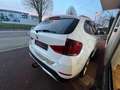 BMW X1 E84 LCI sDrive 16d 116 ch xLine A Blanc - thumbnail 6