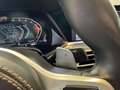 BMW X6 xDrive 30dA xLine Blanco - thumbnail 43