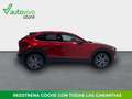 Mazda CX-30 ZENITH 2.0 E-SKYACTIV-X 186 CV 2WD 5P Rojo - thumbnail 3