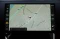 Land Rover Range Rover Sport 3.0 PHEV SWB Dynamic HSE Grau - thumbnail 34