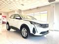 Peugeot 3008 1.5BlueHDi Active Pack S&S 130 Blanco - thumbnail 6