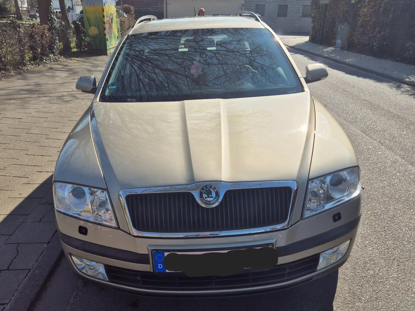 Skoda Octavia Brąz - 1