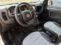 Fiat Panda Panda 0.9 t.air t. Cross 4x4 s&s 85cv Bianco - thumbnail 20