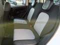 Fiat Panda Panda 0.9 t.air t. Cross 4x4 s&s 85cv Bianco - thumbnail 14