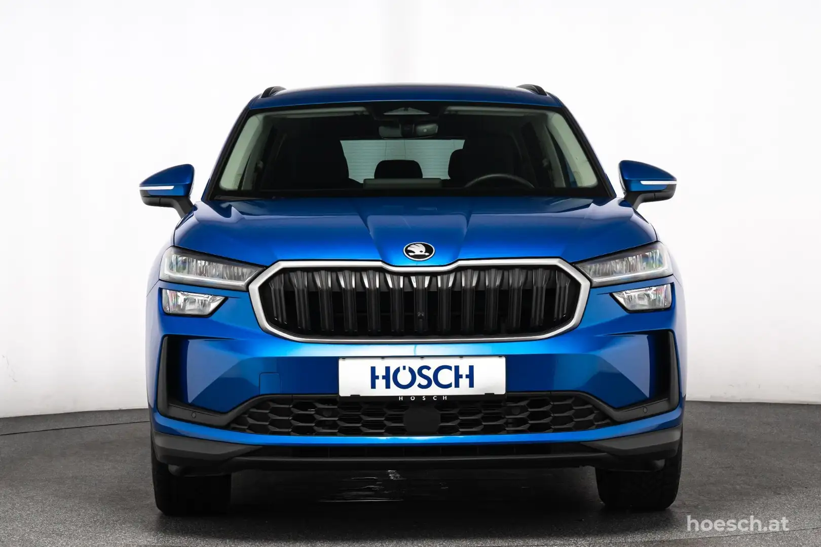 Skoda Kodiaq TSI Selection 18" ASSISTENZ KAMERA FAMILY Blau - 2