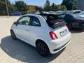 Fiat 500C Hey Google PDC AppleCare Leder Weiß - thumbnail 18