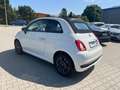 Fiat 500C Hey Google PDC AppleCare Leder Weiß - thumbnail 4