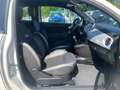 Fiat 500C Hey Google PDC AppleCare Leder Weiß - thumbnail 9