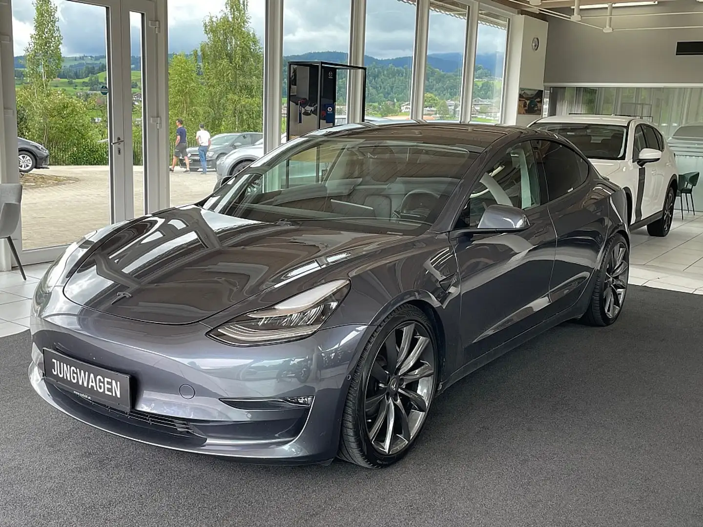 Tesla Model 3 Long Range AWD 75kWh*inkl. Anhängerkupplung Grau - 1
