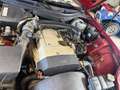 Mercedes-Benz SLK 200 Cabrio -Wenig Km Rot - thumbnail 18