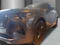 Mazda CX-60 2.5 e-SKYACTIV-PHEV HOMURA-PLUS HUD El. Panodach N Grau - thumbnail 4