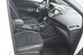 Ford Kuga 2,0 ST-Line Aut. AWD+NAVI+XENON+AHK+TEL Weiß - thumbnail 9