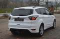 Ford Kuga 2,0 ST-Line Aut. AWD+NAVI+XENON+AHK+TEL Weiß - thumbnail 3