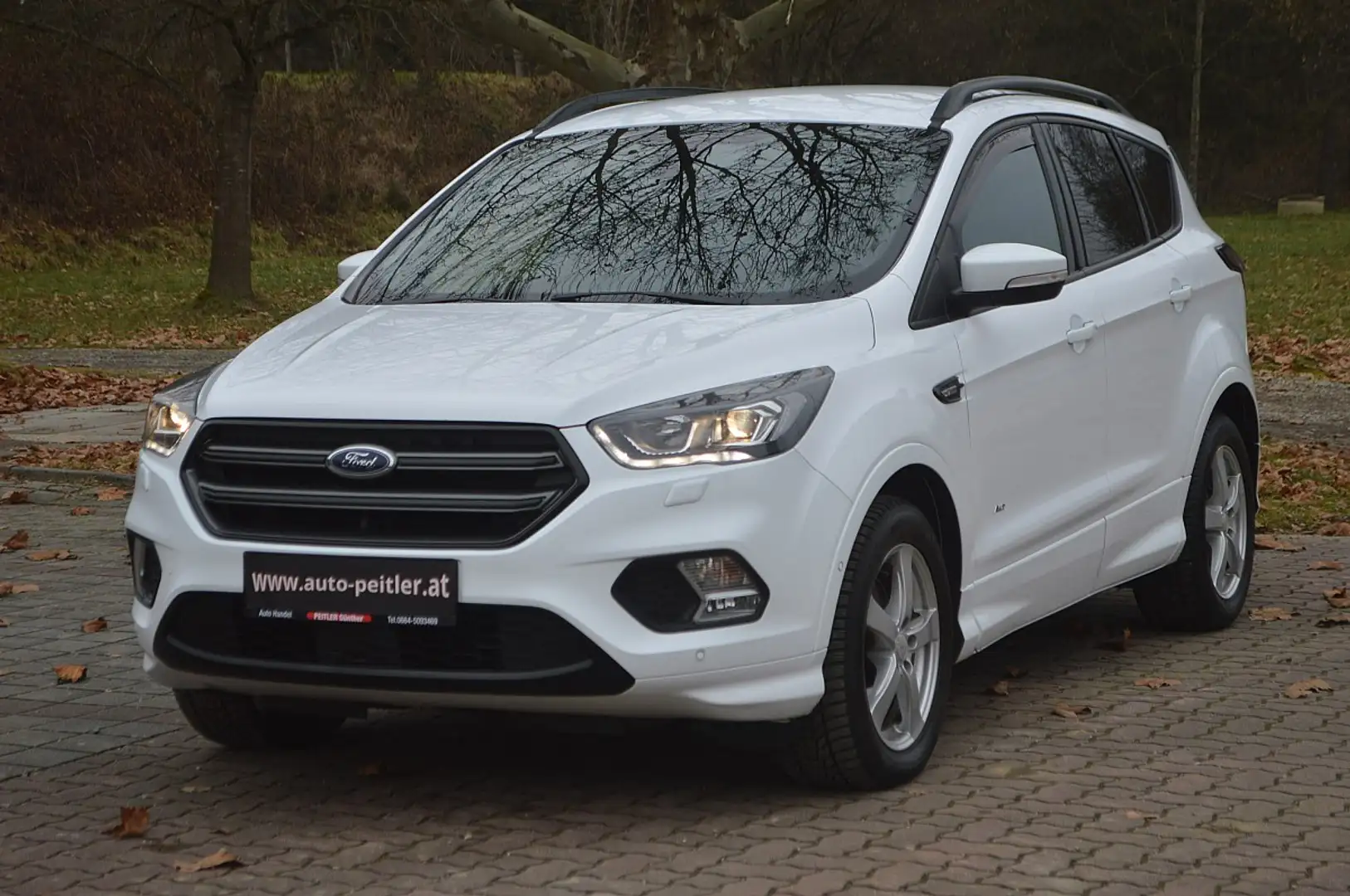 Ford Kuga 2,0 ST-Line Aut. AWD+NAVI+XENON+AHK+TEL Weiß - 2