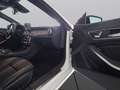 Mercedes-Benz Sonstige CLA 250 Shooting Brake*PANO*LED*TWA*Kamera* Weiß - thumbnail 22