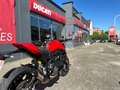 Ducati Monster 937 + | "TVA Déductible" Rood - thumbnail 7