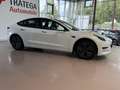 Tesla Model 3 Standard Range RWD MwSt. ausweisbar Weiß - thumbnail 10