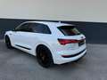 Audi e-tron 50 quattro**S-LINE**B&O**ACC**MATRIX** Weiß - thumbnail 5