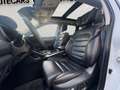 Renault Koleos X-Tronic / INTIALE PARIS / VOLLAUSTATTUNG / RÜCKF Blanc - thumbnail 15