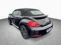 Volkswagen Beetle Cabrio Allstar 1.2 TSI NAVI KAMERA Negro - thumbnail 6