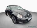 Volkswagen Beetle Cabrio Allstar 1.2 TSI 105PS Noir - thumbnail 3