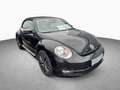 Volkswagen Beetle Cabrio Allstar 1.2 TSI NAVI KAMERA Negro - thumbnail 3