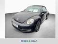 Volkswagen Beetle Cabrio Allstar 1.2 TSI NAVI KAMERA Negro - thumbnail 1