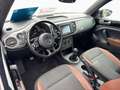 Volkswagen Beetle Cabrio Allstar 1.2 TSI NAVI KAMERA Negro - thumbnail 7