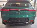Alfa Romeo Tonale Sprint/Sofort verfügbar Grün - thumbnail 8